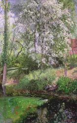 Maiblüten am Burggrabenrand